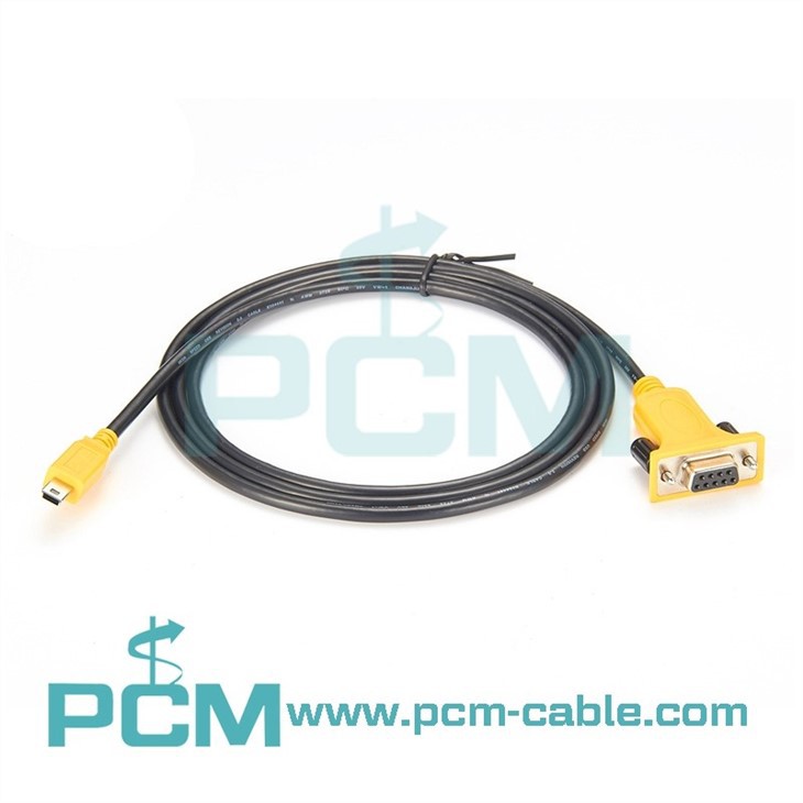 Mini USB Serial Cable